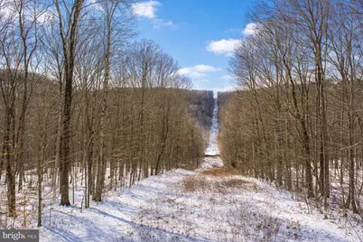 6 Sparrow Trail, Friendsville, MD 21531 - Photo 3