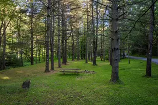 18 Frederick Cir, Swanton, MD 21561 - Photo 65