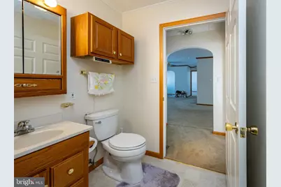 711 Heritage, Oakland, MD 21550 - Photo 53