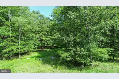 36 Fern Loop Drive, Mc Henry, MD 21541 - Photo 3