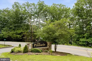 723 Pinnacle Dr, Swanton, MD 21561 - Photo 95