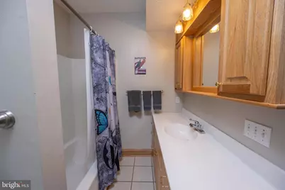 723 Pinnacle Drive, Swanton, MD 21561 - Photo 69