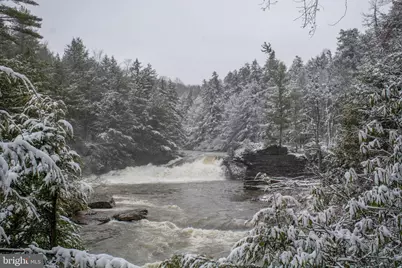 723 Pinnacle Drive, Swanton, MD 21561 - Photo 91