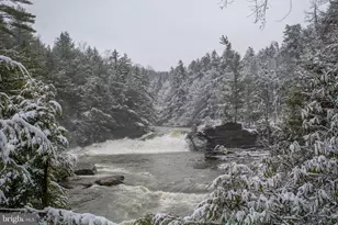 723 Pinnacle Dr, Swanton, MD 21561 - Photo 91