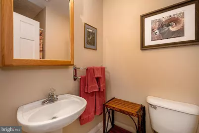 164 Grandview Drive, Oakland, MD 21550 - Photo 43