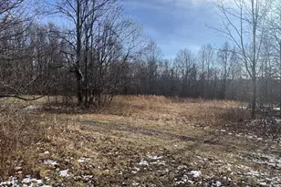 18711 Maryland Hwy, Swanton, MD 21561 - Photo 19