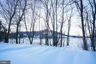 72 Jakes Dr, Mc Henry, MD 21541 - Photo 95