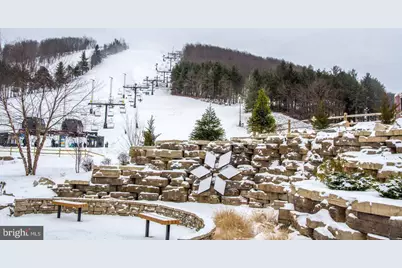 290 Marsh Hill Road #768F, Mc Henry, MD 21541 - Photo 1