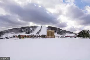 290 Marsh Hill Rd, Mc Henry, MD 21541 - Photo 9