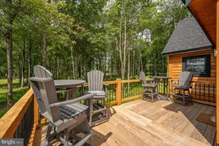 29 Green Jacket Ct, Mc Henry, MD 21541 - Photo 87