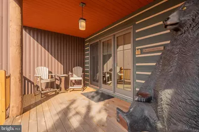 14 Ridge Run Road, Mc Henry, MD 21541 - Photo 55