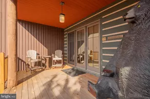 14 Ridge Rd, Mc Henry, MD 21541 - Photo 55