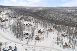 957 N Camp Rd, Mc Henry, MD 21541 - Photo 49