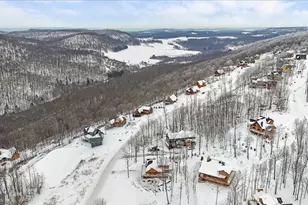 957 N Camp Rd, Mc Henry, MD 21541 - Photo 47