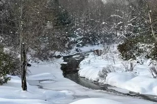 Lot 36 Fox Tail Rd, Oakland, MD 21550 - Photo 1