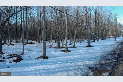 49.08 Acres Maryland Highway, Swanton, MD 21561 - Photo 21