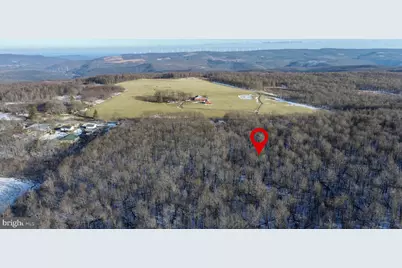 49.08 Acres Maryland Highway, Swanton, MD 21561 - Photo 13