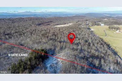 49.08 Acres Maryland Highway, Swanton, MD 21561 - Photo 5