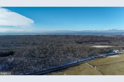 49.08 Acres Maryland Highway, Swanton, MD 21561 - Photo 7