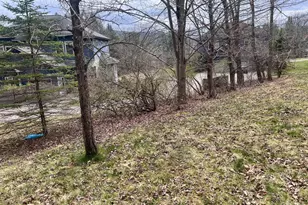 198 Pysell Rd, Mc Henry, MD 21541 - Photo 51