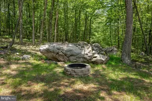 310 Campfire Dr, Mc Henry, MD 21541 - Photo 57