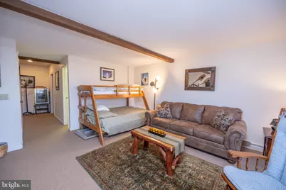 17 Slopeside Terrace #10D, Mc Henry, MD 21541 - Photo 19