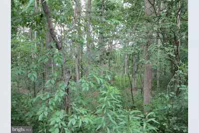 C Street, Mountain Lake Park, MD 21550 - Photo 5