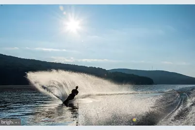 102 Piney Point Drive, Swanton, MD 21561 - Photo 55