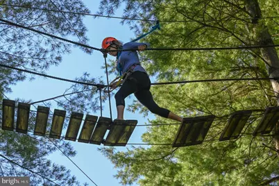 102 Piney Point Drive, Swanton, MD 21561 - Photo 63