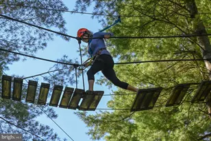 102 Piney Point Dr, Swanton, MD 21561 - Photo 63