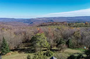 3836 Chestnut Grove Rd, Swanton, MD 21561 - Photo 9