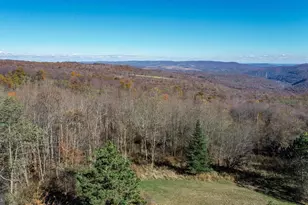 3836 Chestnut Grove Rd, Swanton, MD 21561 - Photo 47