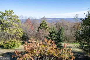 3836 Chestnut Grove Rd, Swanton, MD 21561 - Photo 33