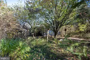 3836 Chestnut Grove Rd, Swanton, MD 21561 - Photo 13