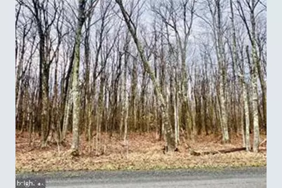 Tbd 15.75 Acres Bethlehem Road, Oakland, MD 21550 - Photo 1