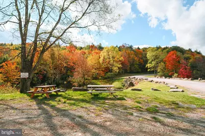 233 Rhododendron Drive, Oakland, MD 21550 - Photo 5