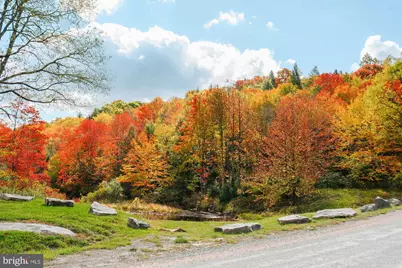 233 Rhododendron Drive, Oakland, MD 21550 - Photo 17