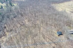 141 Montana Ln, Oakland, MD 21550 - Photo 31