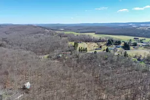 141 Montana Ln, Oakland, MD 21550 - Photo 37