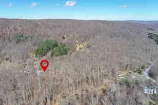 141 Montana Ln, Oakland, MD 21550 - Photo 3