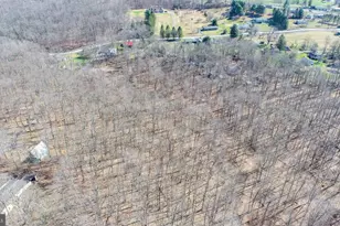 141 Montana Ln, Oakland, MD 21550 - Photo 39