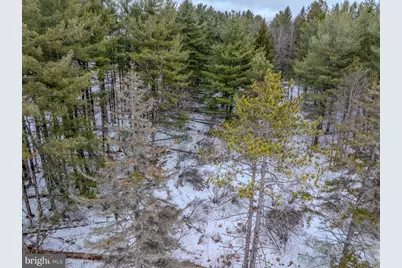 Dennett Rd, 10.10 Acres To Oakland Dr, Oakland, MD 21550 - Photo 17