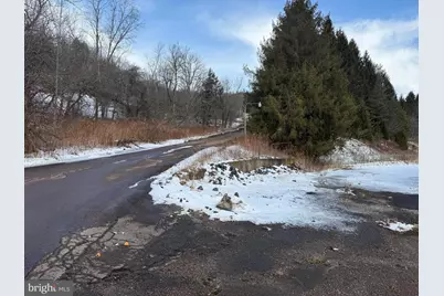 16306 Bittinger Road, Grantsville, MD 21536 - Photo 49