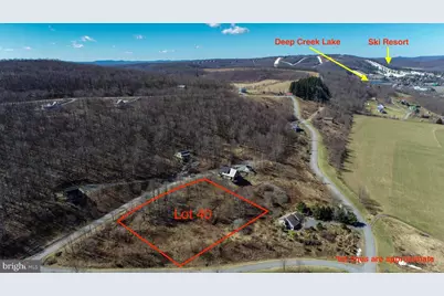 40 Daisy Drive, Mc Henry, MD 21541 - Photo 3