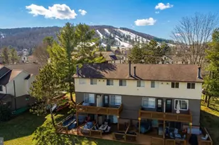 3 Ski Harbor Dr, Mc Henry, MD 21541 - Photo 15