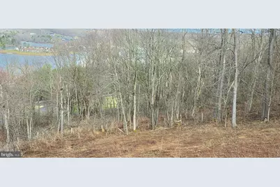 Timber Ridge Road #10, Mc Henry, MD 21541 - Photo 11