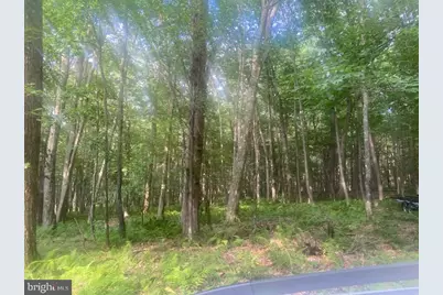 Mallard Lake Trl, Swanton, MD 21561 - Photo 1