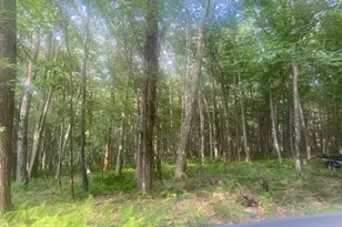 Mallard Lake Trail, Swanton, MD 21561 - Photo 1