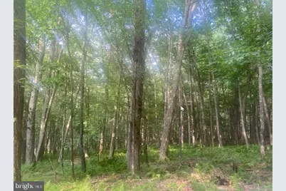 Mallard Lake Trl, Swanton, MD 21561 - Photo 13