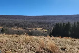 584 Old Wilson Rd, Swanton, MD 21561 - Photo 1